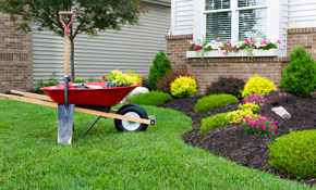 Our 97 Best Columbia Lawn Services | Angie's List